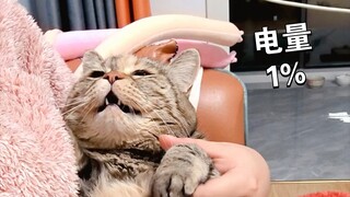 Mom gently lifts her delicate, languid form—she looks as if she hasn’t eaten for three hundred days.