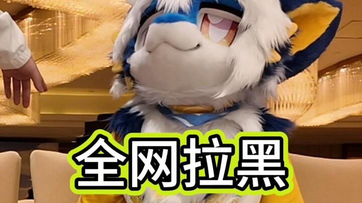 Sốc! Lông của cô ấy hóa ra là đồ ăn cắp!