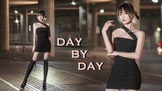 二代团永恒的经典 羞答答滴玫瑰｜DAY BY DAY