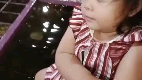 Lagi Asik Bermain Dikolam Ikan 🐠🐋🐟