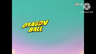 Bảy Viên Ngọc Rồng Kai Tập 14