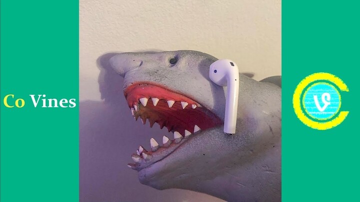 Shark puppet hot sale funny