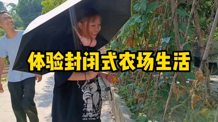 Tóm gọn: Chị Đậu Đậu bị bắt vì trộm ngô.