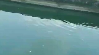 قال والدي أنه سيتزوجني.