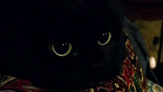 快发给你身边视力好的朋友看！