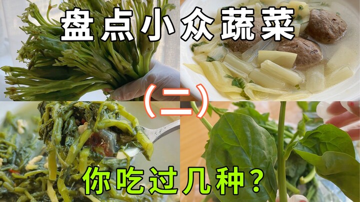 لم أكن أتوقع أبدًا ظهور الحلقة الثانية! اتضح أن هناك الكثير من الخضروات التي لم أجربها بعد!