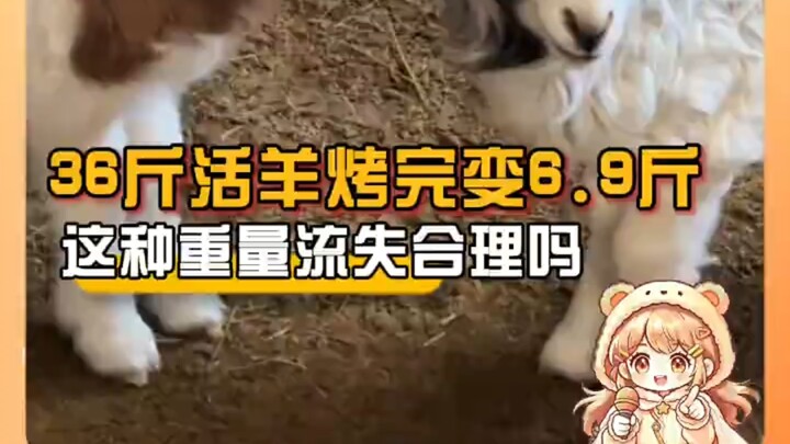 A vendor claims it’s normal for a 36-pound live sheep to shrink to 6.9 pounds after roasting—is this
