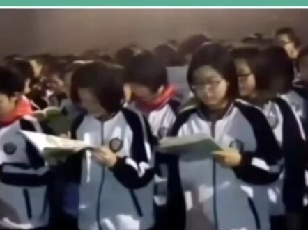 Why has Hengshui Middle School only emerged in Hebei?