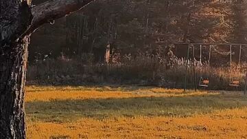 #💪🏻