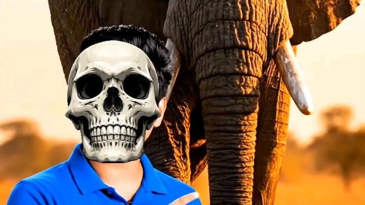 পৃথিবীর ৫টি দানবীয় জীব! 🐋🐘 #Shorts #AmazingFacts