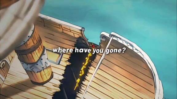 Good bye Going merry