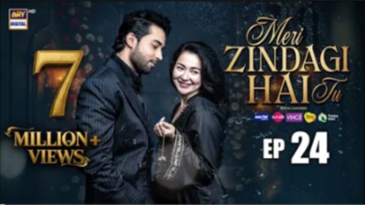 Meri Zindegi Hai Tu episode 24