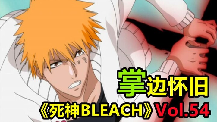 Teknik Lengkap! Pelatihan Rehabilitasi Kekuatan BLEACH Ichigo - [Palm] Review Klasik "BLEACH BLEACH"