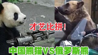 中国熊猫VS俄罗斯熊 是时候比试一下才艺了！