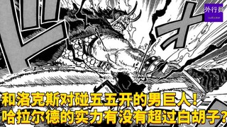和洛克斯五五开对碰的男巨人！哈拉尔德的实力有没有超过白胡子？#1847