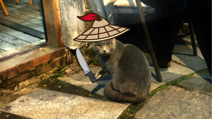 If you call me “little cat” again, I’m really going to kill you!!