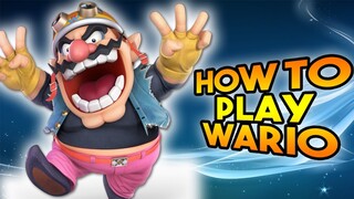 How To Play Wario - Smash Ultimate Beginner Guide