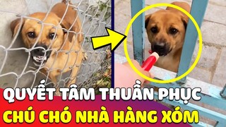 Cô gái tưởng đã 'THUẦN PHỤC' được em Chó hàng xóm nhưng khi hết đồ ăn thì 'NÓ LẠ LẮM' 😅 Gâu Đần