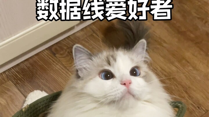 Xiao Teng is chubby again!