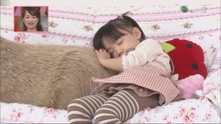 【芦田爱菜】爱菜宝宝和卡皮巴拉宝宝，还有卡皮巴拉妈妈超可爱超级宇宙第一无敌治愈的一天