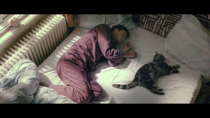 治愈广告《听说猫猫和主人会越来越像》