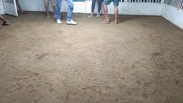 MLC Lieper brown red