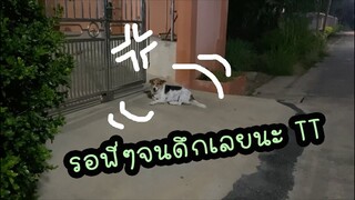 โลกของแสนดี ตอน เมื่อไหร่จะตีแบดเสร็จ..