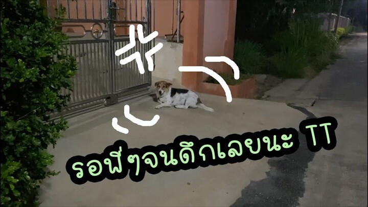 โลกของแสนดี ตอน เมื่อไหร่จะตีแบดเสร็จ..