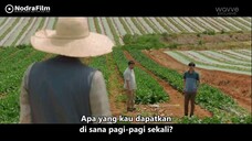 drakor wild boar hunt eps 1 sub indo