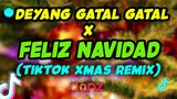 Deyang Gatal Gatal Sa X Feliz Navidad  [ TikTok Remix ] ( DjDanz Remix )
