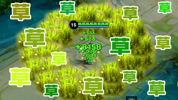 Thanks for the planning! Now that I’ve finished playing Sang Qi, all I can think about is grass…
