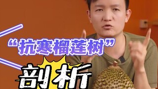 【水果猎人】中国缺的不是一棵“抗寒榴莲”，而是面向世界的科技输出！