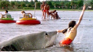 Shark interrupts the show | Jaws 3-D | CLIP