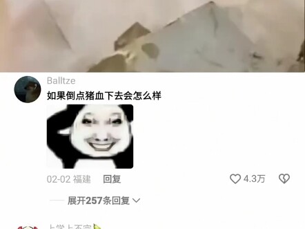 The carpenter chickened out