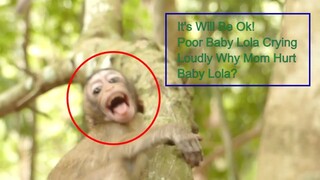 So Sad Poor Baby Lola Why Charla Dislike Baby, My Princess Don't Cry Baby I Will Give You Some Fruit