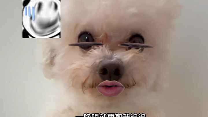 As soon as I open my eyes, they’re about to cut me off…