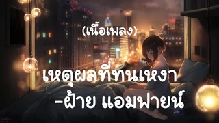 เหตุผลที่ทนเหงา - ฝ้าย แอมฟายน์  (เนื้อเพลง)