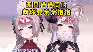 日本猫猫二重奏！两只猫猫同时在耳边亲亲抱抱，你遭得住吗？
