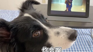 狗子成精看个电影现学现卖