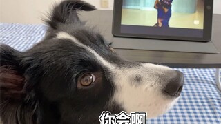 狗子成精看个电影现学现卖