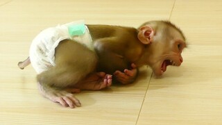 OMG!! Little boy Maki Cry Seizures When Mom Retrieve Basket Milk Prepare for him