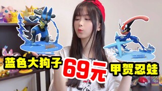 超高性价比传奇宝可梦get！命运的相会～路卡利欧X甲贺忍蛙！