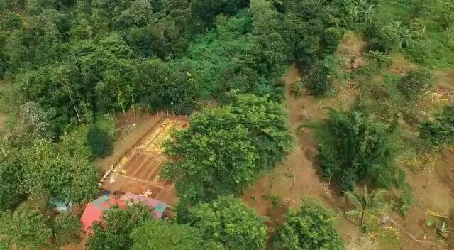 masih lanjut di hutan