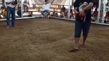 2nd fight ulutan lemon Hatch vs Alimbuyugin Loss