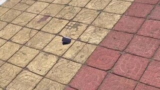 Promoting fraud prevention through fraudulent methods