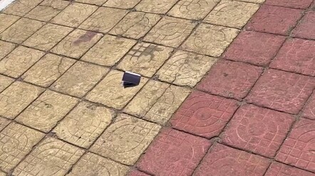 Quảng bá phòng chống lừa đảo bằng cách lừa đảo