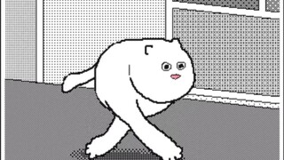 "แมวแต่ละตัวมีภาพพิเศษของตัวเอง"