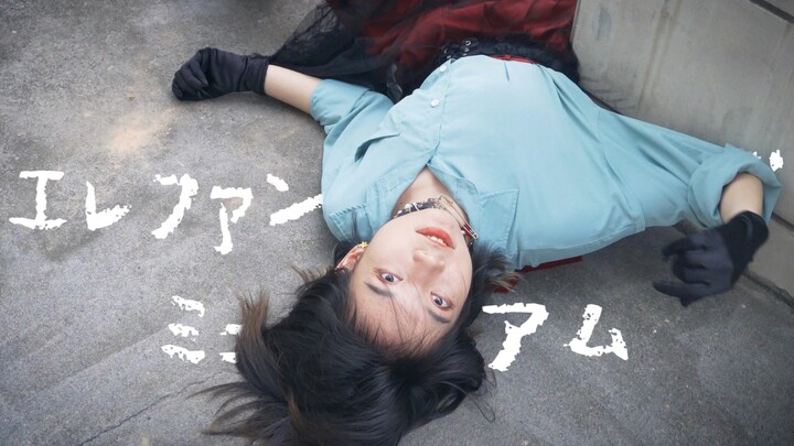 【Kakumi】The elephant in the museum ☛ The servant saves it!