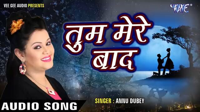 Tum_Mere_Bad_Mohabbat_ko_Taras_Jaoge_- Hindi_Sad_Song(360p).mp4