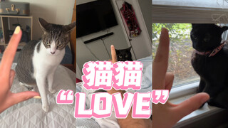 ถ่ายรูป "LOVE" กับน้องแมว ❤️